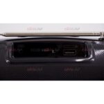 اسپیکر بلوتوثی BOOMS BASS مدل L101 ویژگی رقص نور دار - Image 6