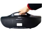 اسپیکر Wster مدل WS-1038 - Image 4