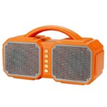 اسپیکر Wster مدل WS-1661