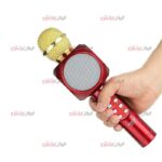 میکروفون اسپیکر Wster مدل WS-1816 - Image 5