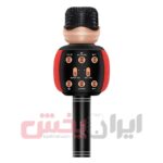 میکروفون اسپیکر WSTER مدل WS-2911 ویژگی اورجینال