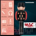 میکروفون اسپیکر WSTER مدل WS-2911 ویژگی اورجینال - Image 6