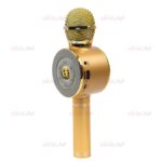 میکروفون اسپیکر WSTER مدل WS-668 ویژگی اورجینال