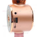 میکروفون اسپیکر WSTER مدل WS-668 ویژگی اورجینال - Image 8