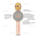 میکروفون اسپیکر WSTER مدل WS-668 ویژگی اورجینال - Image 9