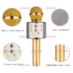 میکروفون Wster مدل WS-858 ویژگی Grade A - Image 5