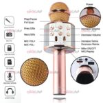 میکروفون Wster مدل WS-858 ویژگی Grade A - Image 6